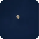 Стикер Природа