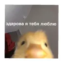 For every occasion 3