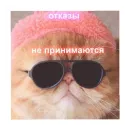 Стикер For every occasion 3