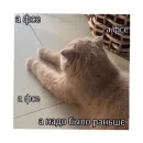 Стикер For every occasion 3