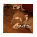 Стикер For every occasion 3