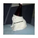 For every occasion