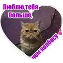 Стикер Фокс