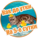 Стикер Фокс