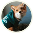 Стикер Foxx for Telegram