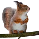 Стикер My freaky zoo