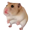 Стикер My freaky zoo