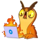 Стикер Freelance Owl