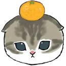 Фруктовые котята