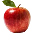 Fruits