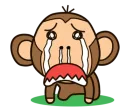 Стикер Funny Monkeys