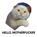 Стикер Funnymals