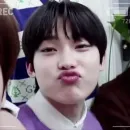 Стикер Sunoo