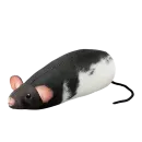 Стикер Animals