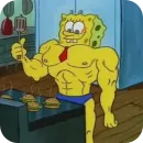 GIGA SPONGE