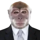 Стикер Animals