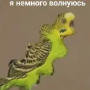 *Мемы на все случаи жизни*
