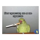 Стикер *Мемы на все случаи жизни*
