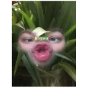 Стикер Тоха2.0