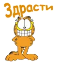 Гарфилд