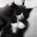 Стикер 𝑨𝑺𝑯 𝑰𝑺𝑳𝑨𝑵𝑫