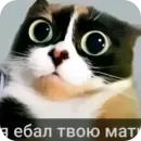 Гейские стикеры для джентельменов