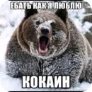 Стикер Гейские стикеры для джентельменов