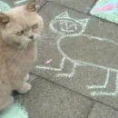 Стикер мяу мяу