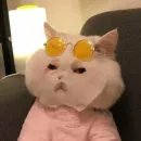 Стикер мяу мяу
