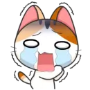 Стикер Girl Cat