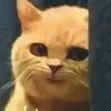 Стикер Glazaggg