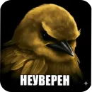 Стикер Birds Memes
