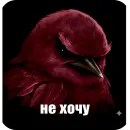 Стикер Birds Memes