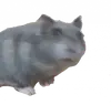 Стикер Гошик