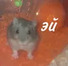 Стикер Гошик