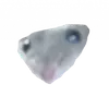 Стикер Гошик