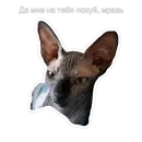 Стикер Гостецкий