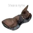 Стикер Гостецкий