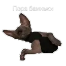 Стикер Гостецкий