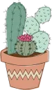 Green Cactus
