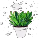 Стикер Green Cactus