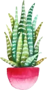 Стикер Green Cactus