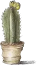 Стикер Green Cactus