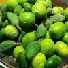 Стикер Green Time
