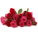 Стикер Цветы