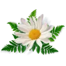 Стикер Цветы