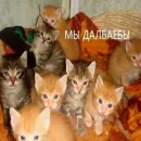 Стикер АХАХАХАХА хуета