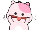 Стикер 🐹Ki ki ⸾