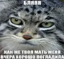 недындра