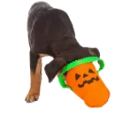 Стикер Halloween